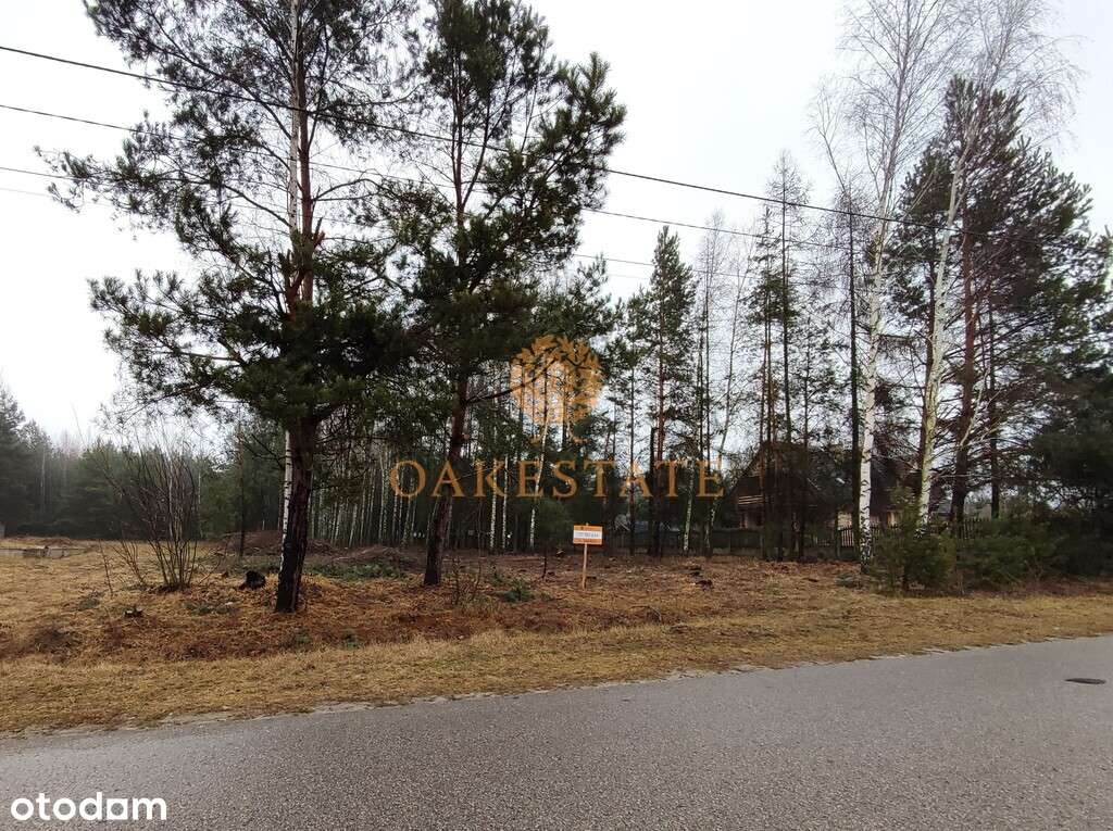 działka 4100 m2 rolno-budowlana - Pełny obrazek: 3/6