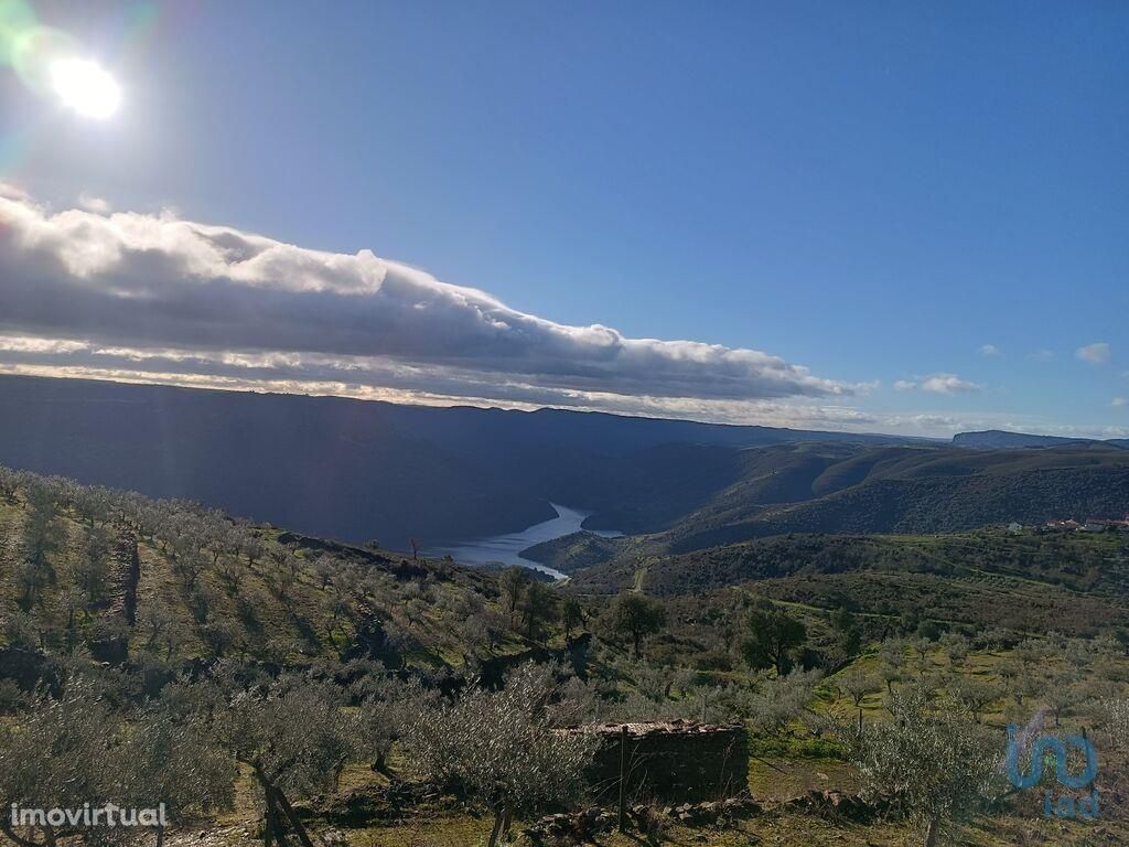 Terreno Agrícola em Bragança de 9980,00 m2