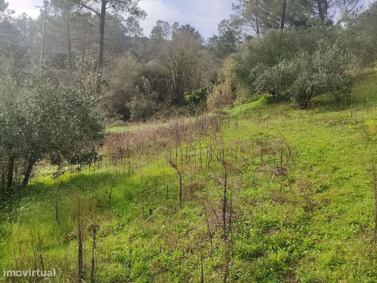Terreno Rústico localizado no Alqueidão, Ourém - Grande imagem: 5/10