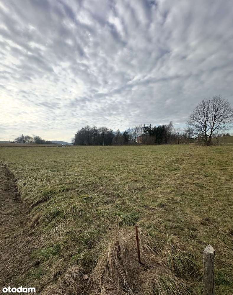 DZIAŁA INWESTYCYJNA PRZEMYSŁOWA Kryg Okazja 64a Uzbrojona - Pełny obrazek: 3/4