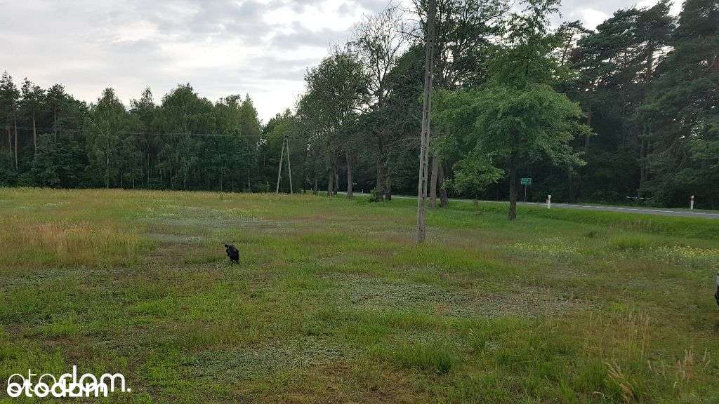 Działka budowlana Dreglin 6711m2-7