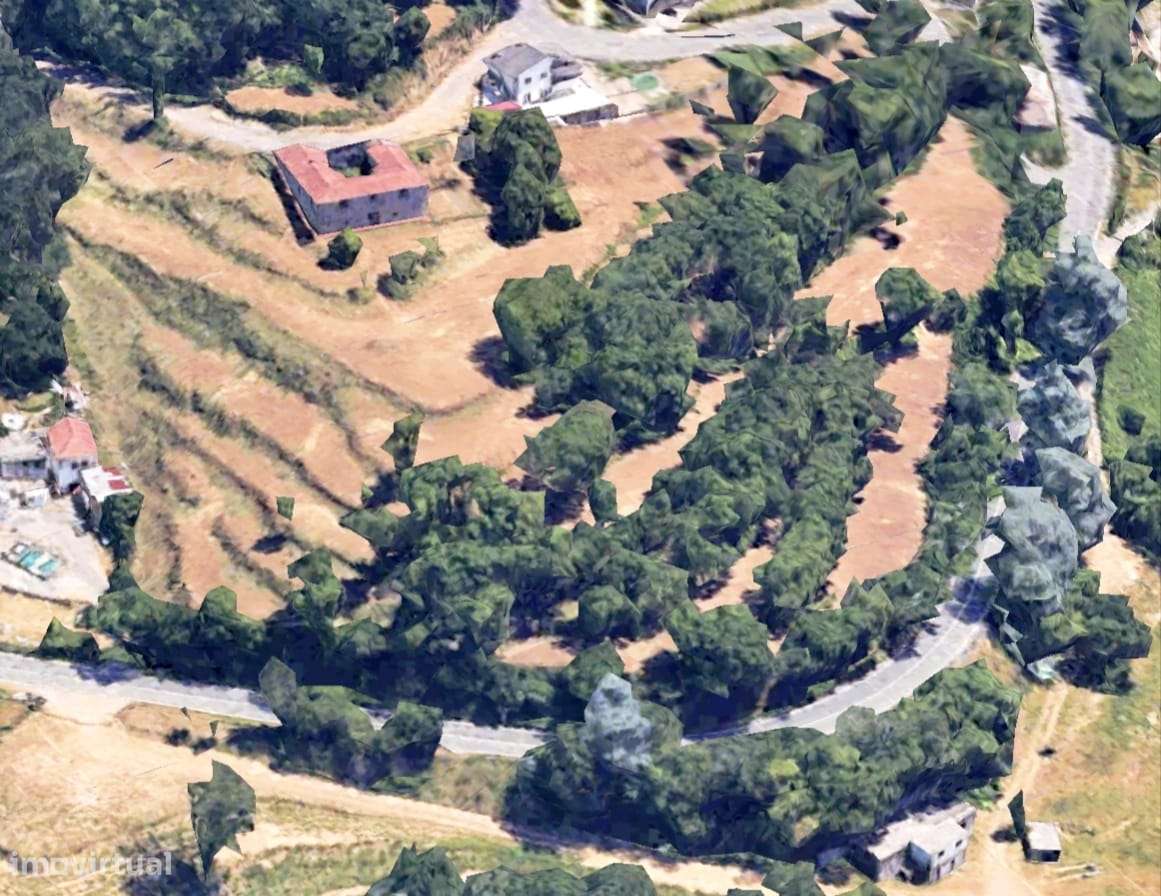 Quinta com 19000 m2 nas margens do Douro-26