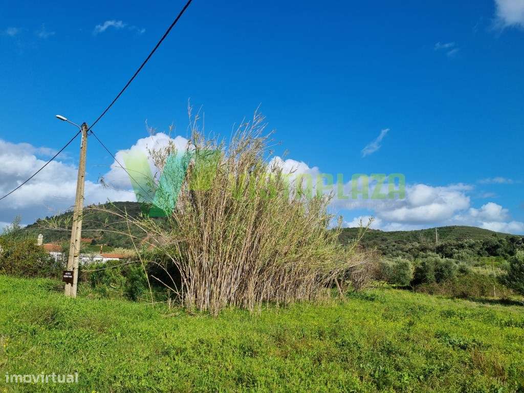 Terreno Rústico Plano com Fácil Acesso em São Bartolomeu de Messines - Grande imagem: 1/17