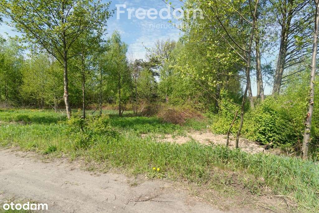 Działki z wydanymi warunkami zabudowy Rysie - Pełny obrazek: 5/6