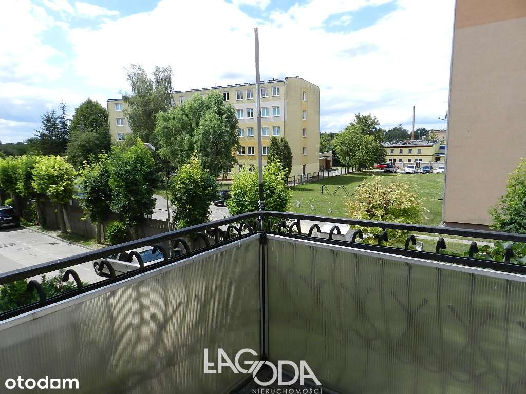 Dom w Międzyrzeczu z częścią handlowo-usługową-10