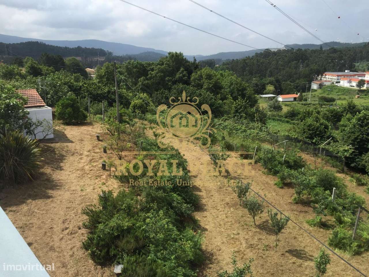 Quinta com armazém em Ossela, Oliveira de Azeméis-25