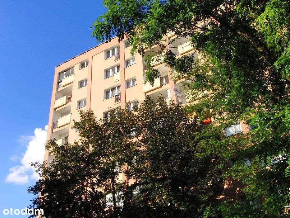 Mieszkanie, 25,47 m², Warszawa-10