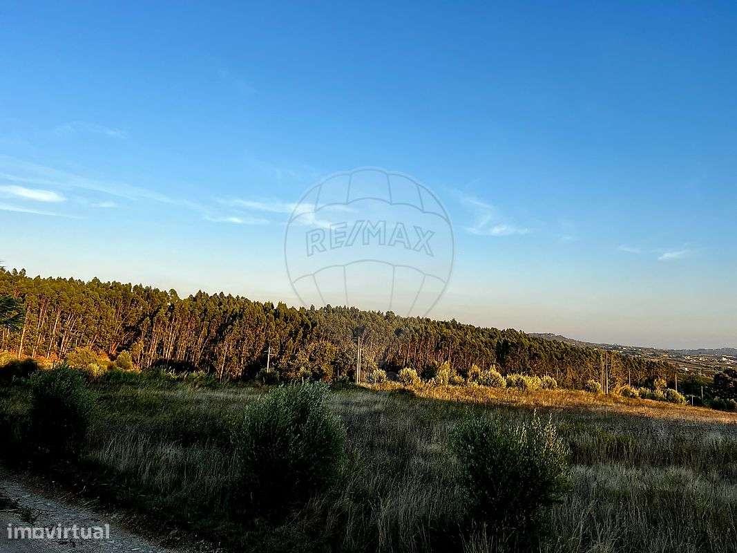 Terreno  para venda - Grande imagem: 4/5