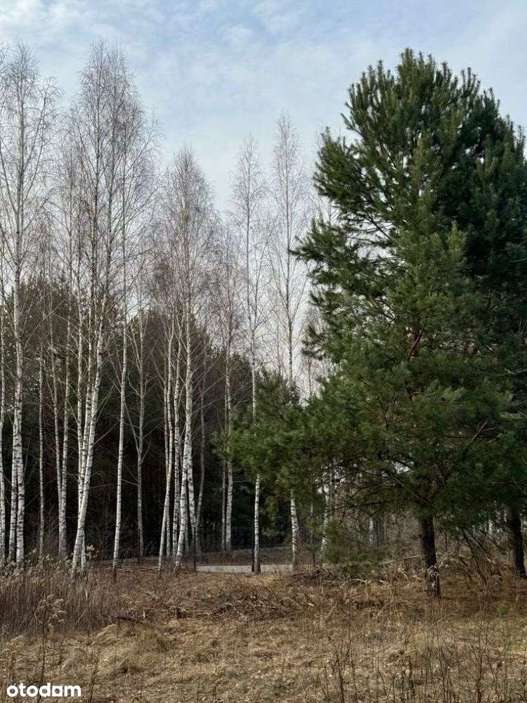 Do Parku Chojnowskiego 400 m, blisko do pociągu-2