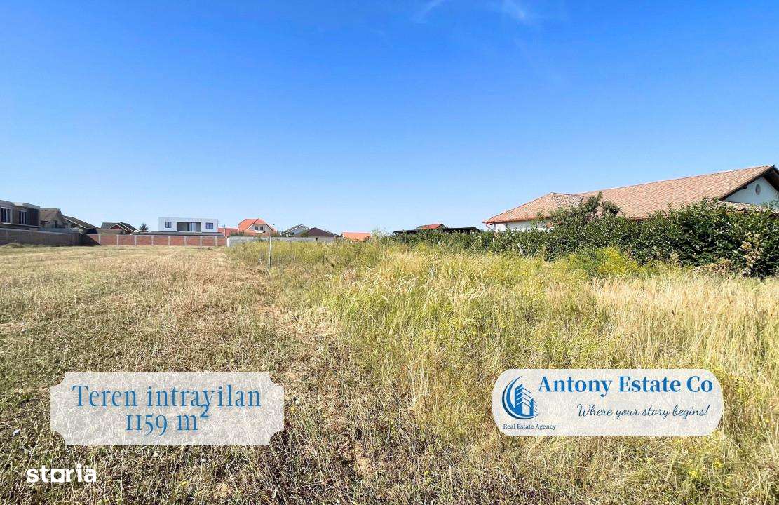 Teren intravilan, de vanzare - Cihei, BH - Imagine principală: 2/8