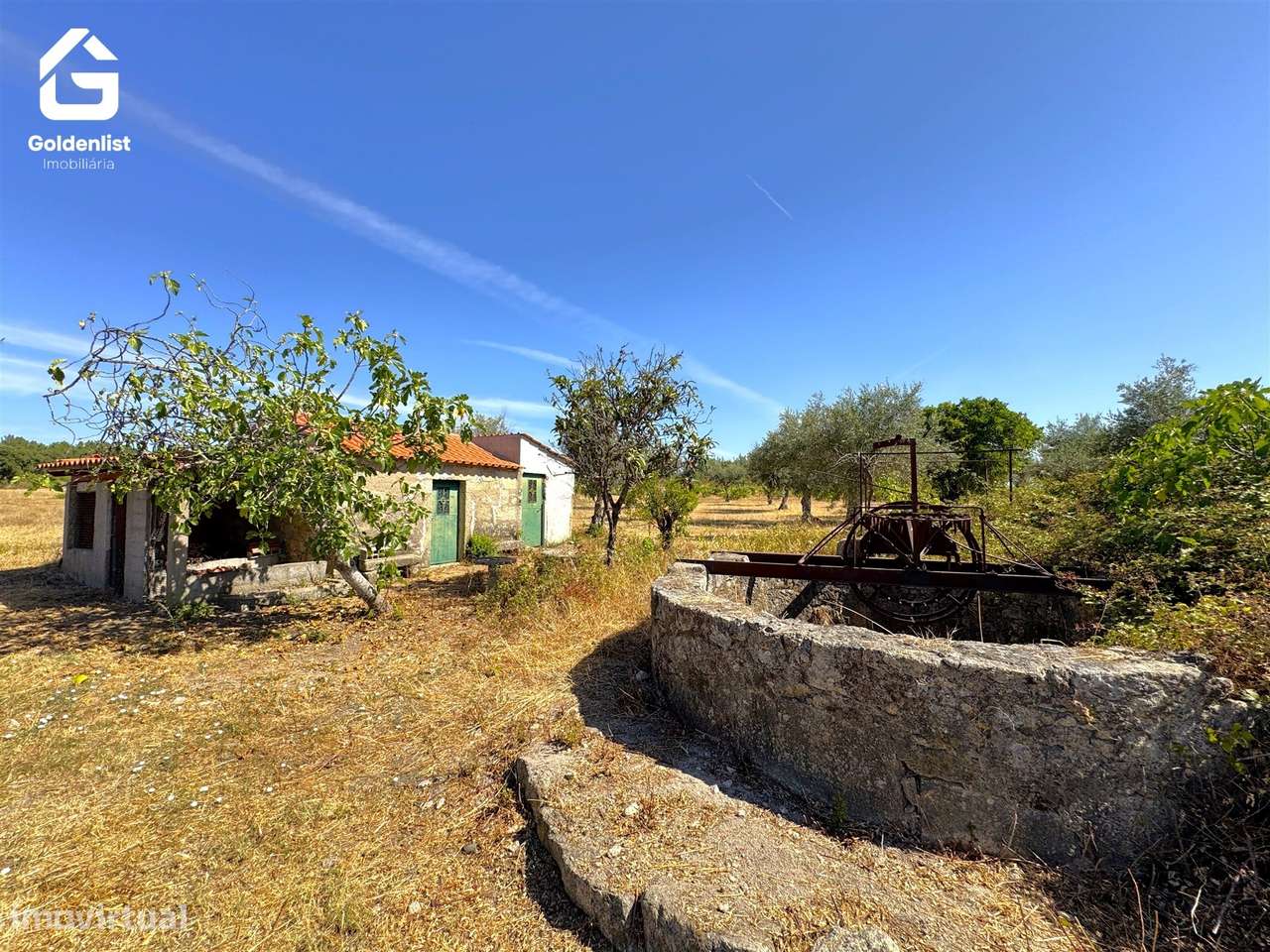 Quinta  Venda em Lardosa,Castelo Branco-32