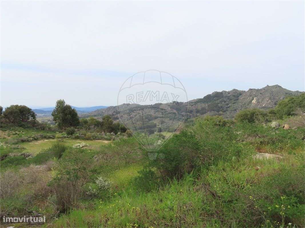 Quinta  para venda - Grande imagem: 3/28