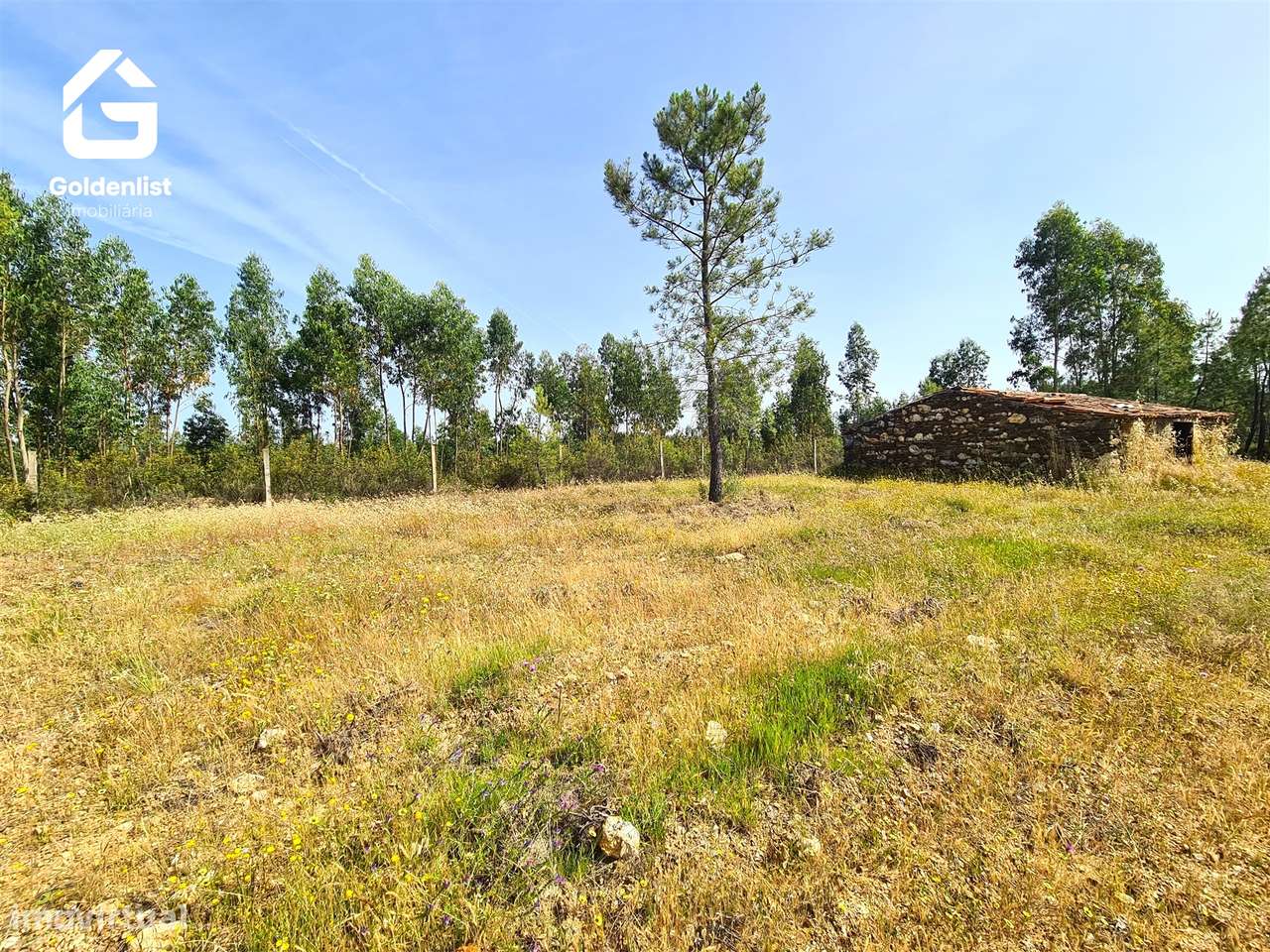 Quinta  Venda em Sarnadas de Ródão,Vila Velha de Ródão-7
