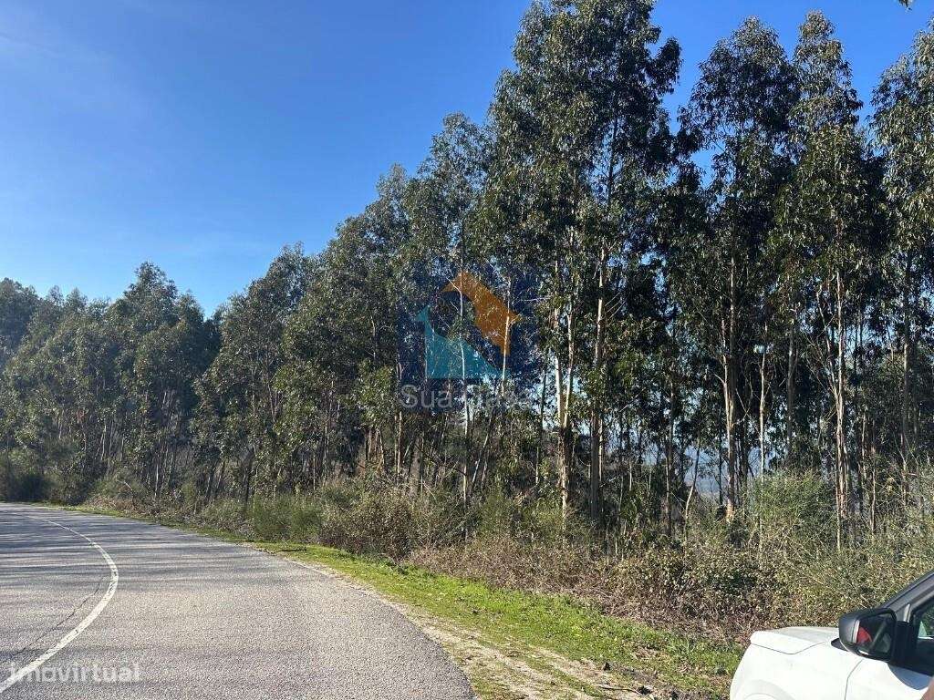 Venda Terreno-8