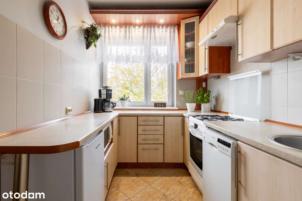 Jasne, blisko centrum , umeblowane !-10