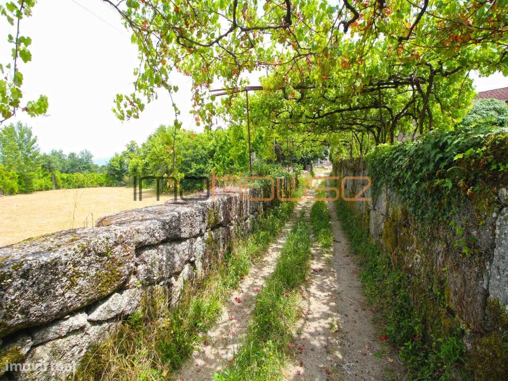 Quinta do séc. 18 - Amarante-32