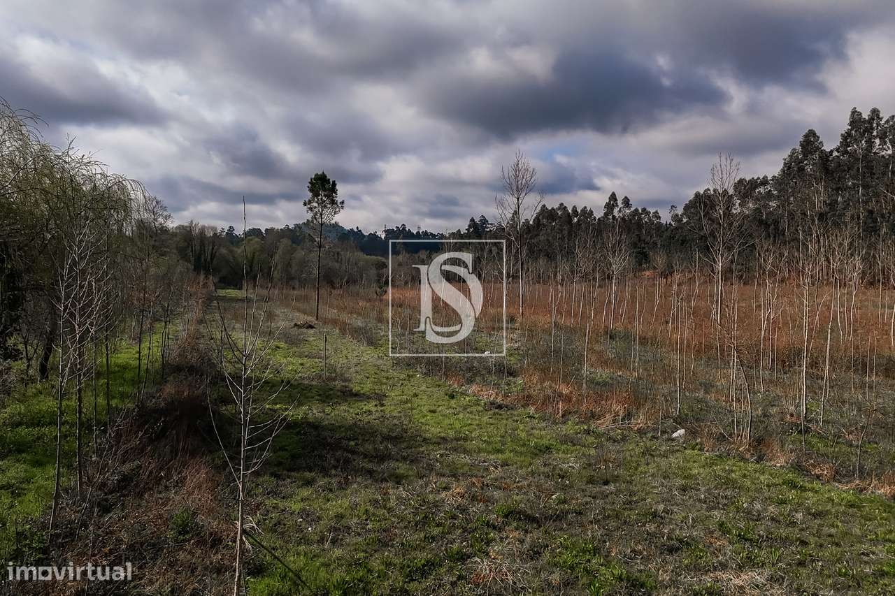 Terreno Rústico  Venda em Associação de freguesias do Vale do Neiva,Po-22