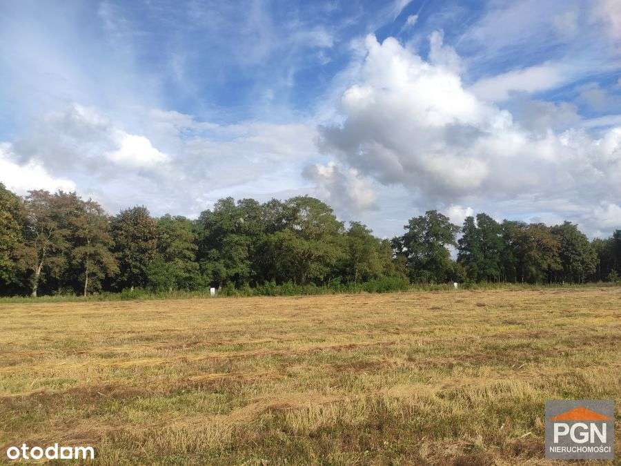 Działka, warunki zabudowy 5min od centrum Kamienia - Pełny obrazek: 4/9
