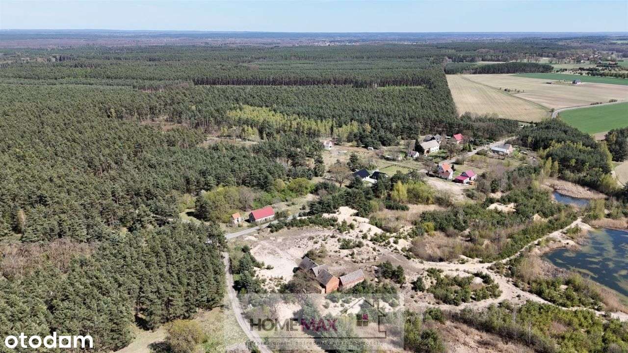 Wyjątkowa działka pod lasem – Biskupin, gm.Chojnów - View 3