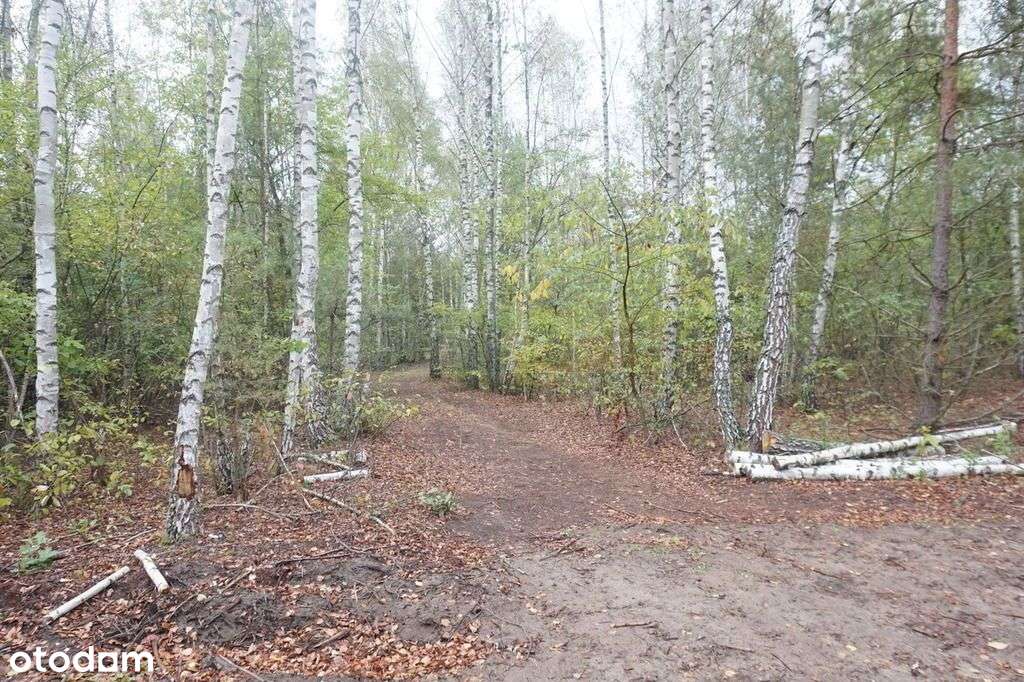 działka w otulinie Kpn-0