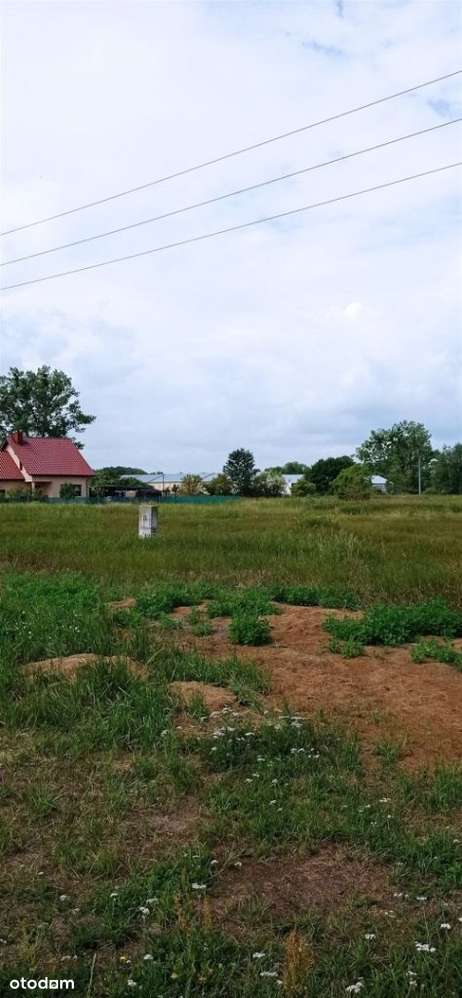 Załom, działka z WARUNKAMI ZABUDOWY. - Pełny obrazek: 5/8