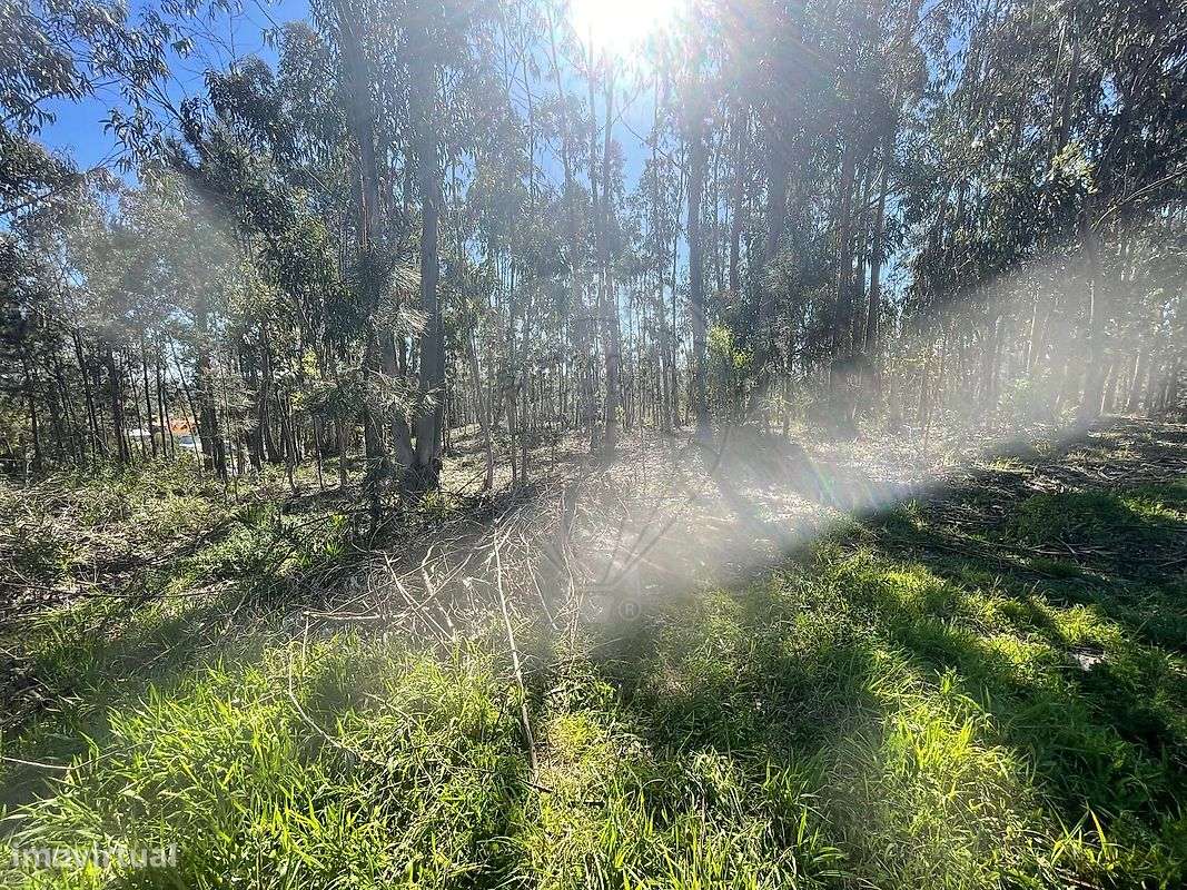 Terreno  para venda - Grande imagem: 4/8