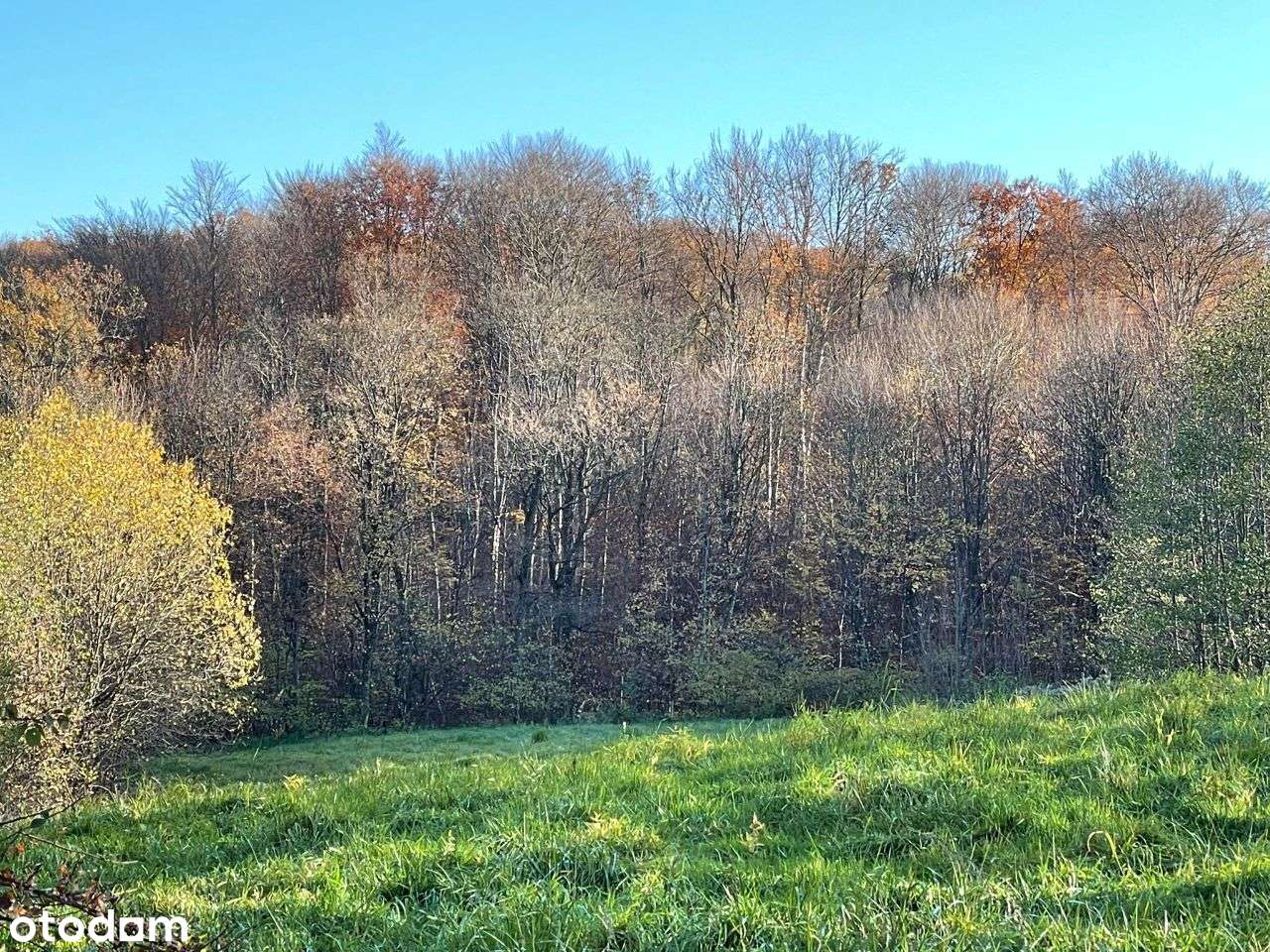 Działka o pow.1 ha - ul. Św.Marcina - Okazja!-10