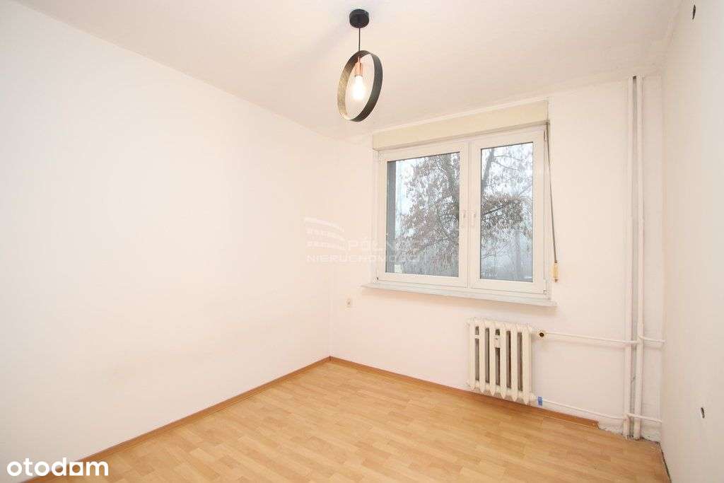 2 pok. Arki Bożka - Parter - Pełny obrazek: 4/6