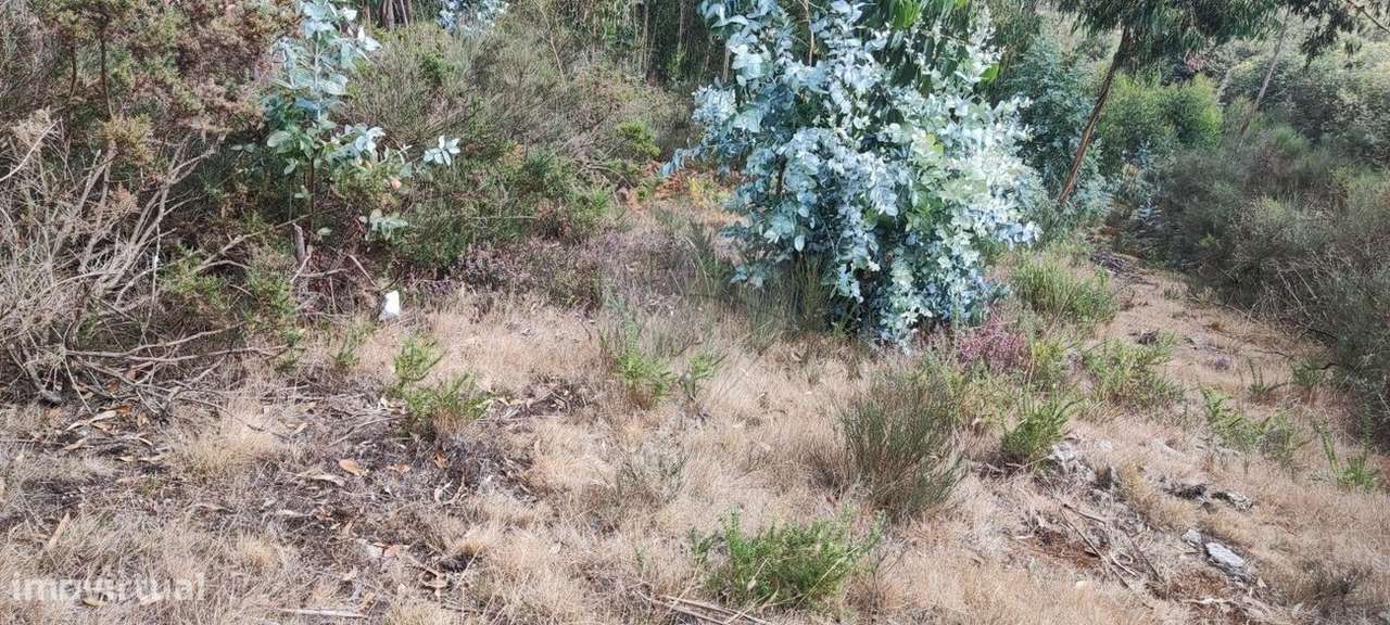 Terreno  para venda - Grande imagem: 5/10