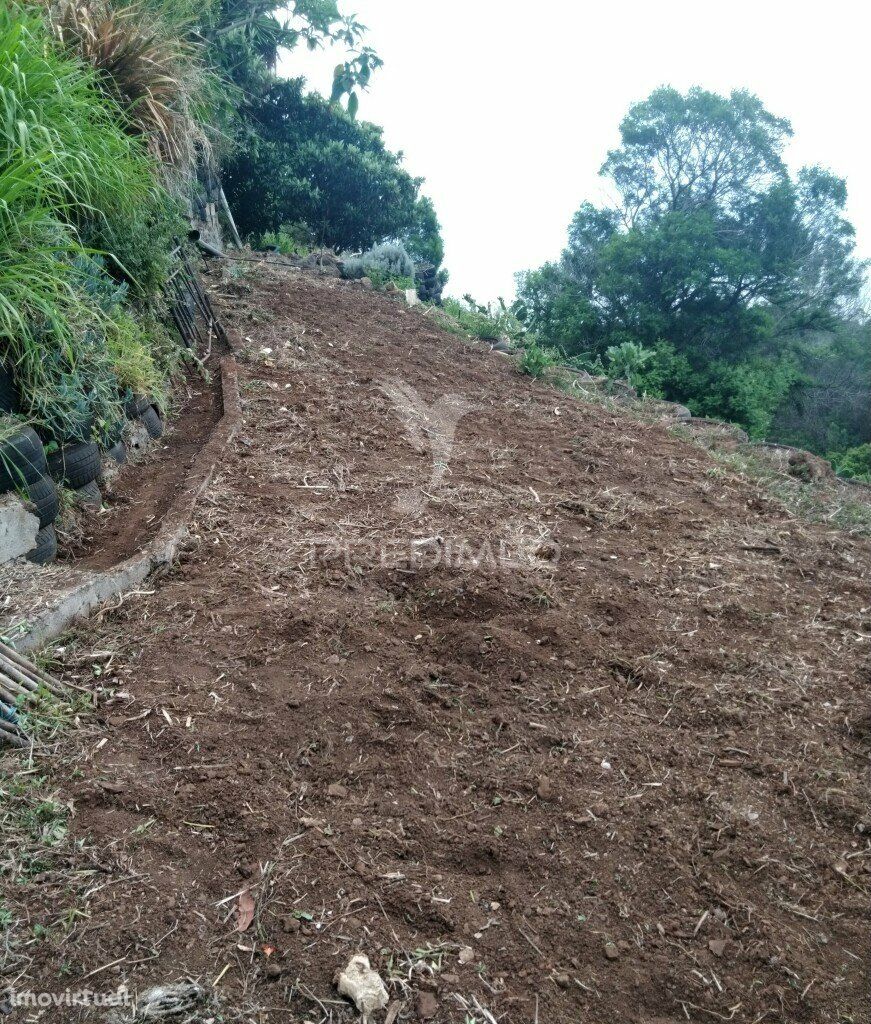 Terreno rústico em  Água de  pena .