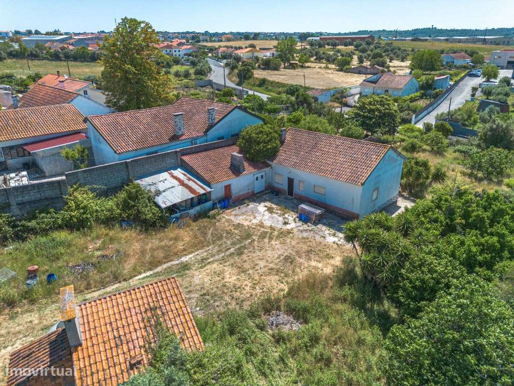 Quintinha com moradia T3 e 24980 m2 de Terreno em Alcanena - Grande imagem: 4/8