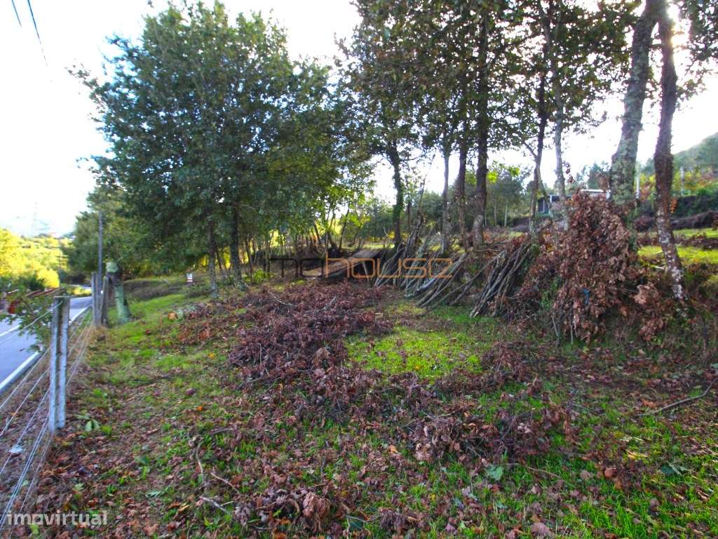 Terreno Vista para o rio Douro - Grande imagem: 5/12