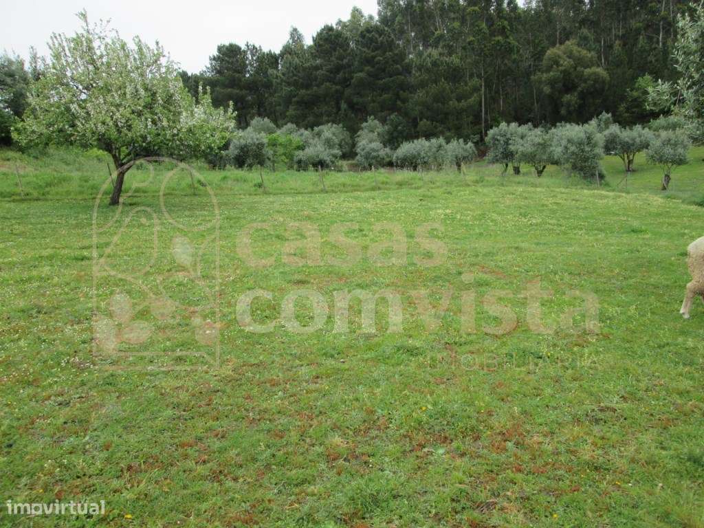 Terreno para construção/Atouguia - Grande imagem: 5/7