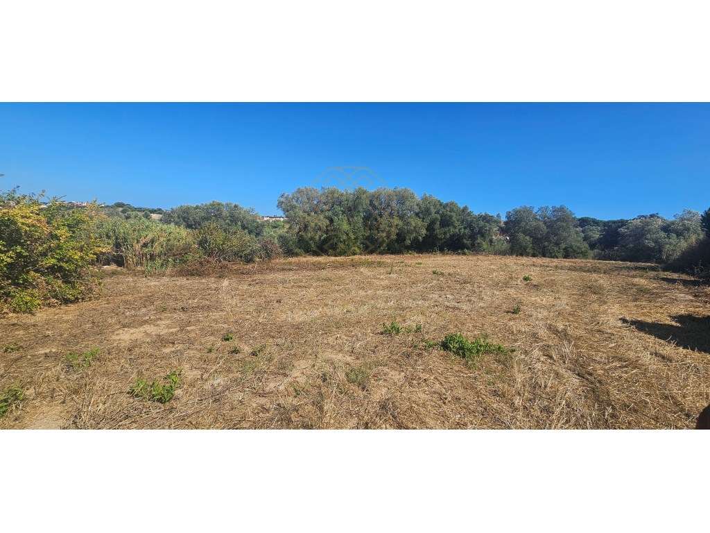 Terreno para construção de 2 Moradias!-11