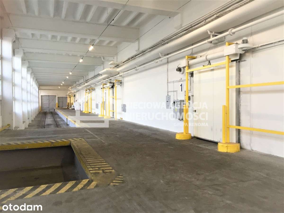 Magazyn na wynajem Gdańsk Nowy Port - Pełny obrazek: 3/5