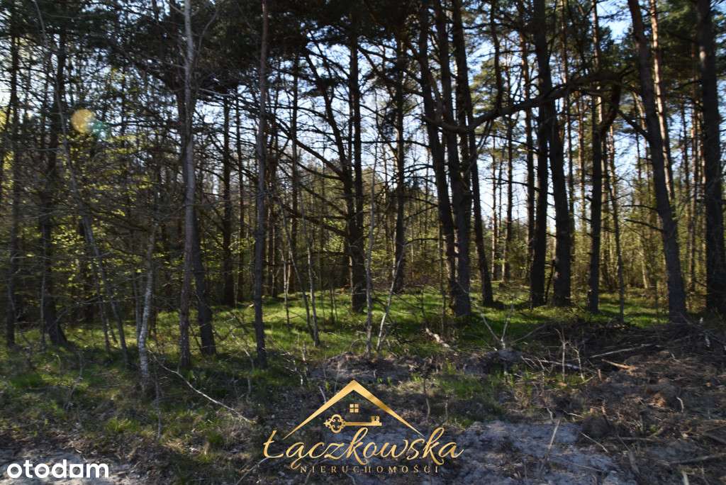 KOWALEWO działki na sprzedaż - Pełny obrazek: 5/7