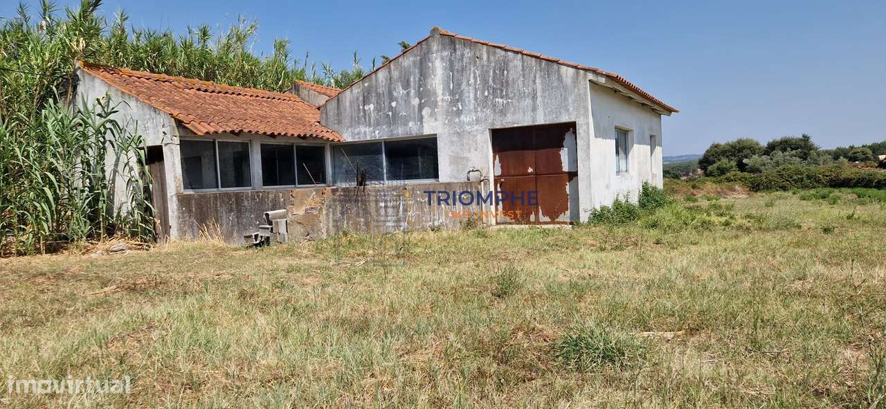 Terreno Urbano com Armazém - Grande imagem: 2/5