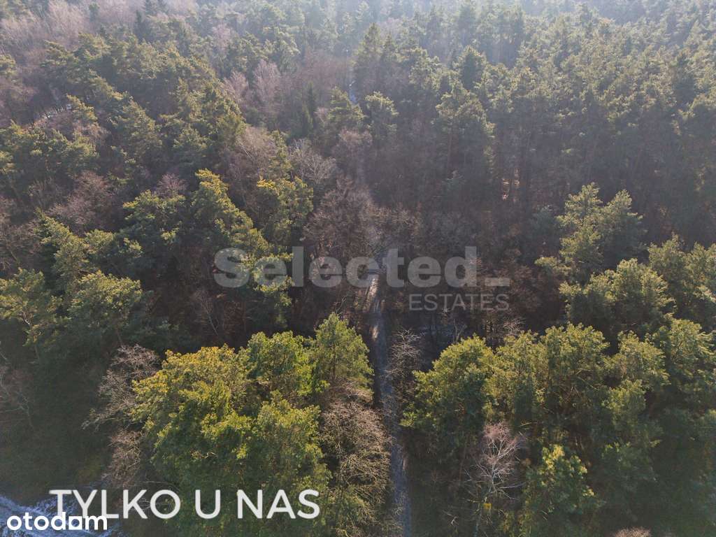 Działka budowlana z WZ przy lesie | Pokrzywnica-7