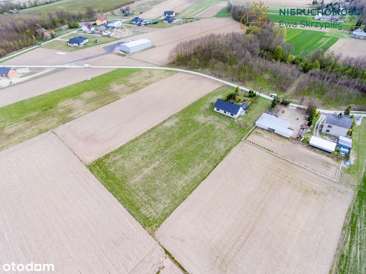 Działka budowlana z mediami w cichej okolicy - Pełny obrazek: 5/7