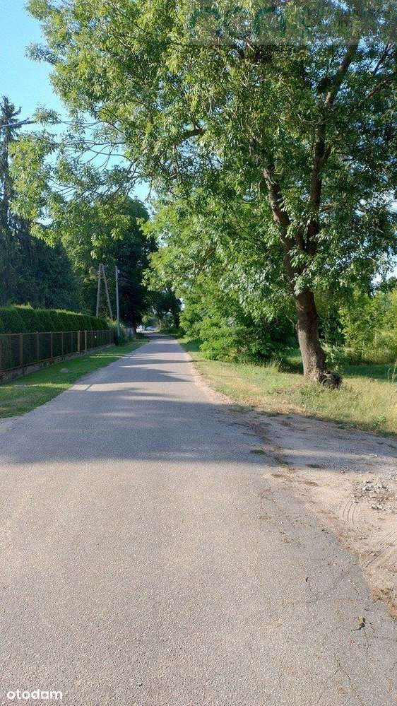 Działka w Wymysłach. - Pełny obrazek: 5/6