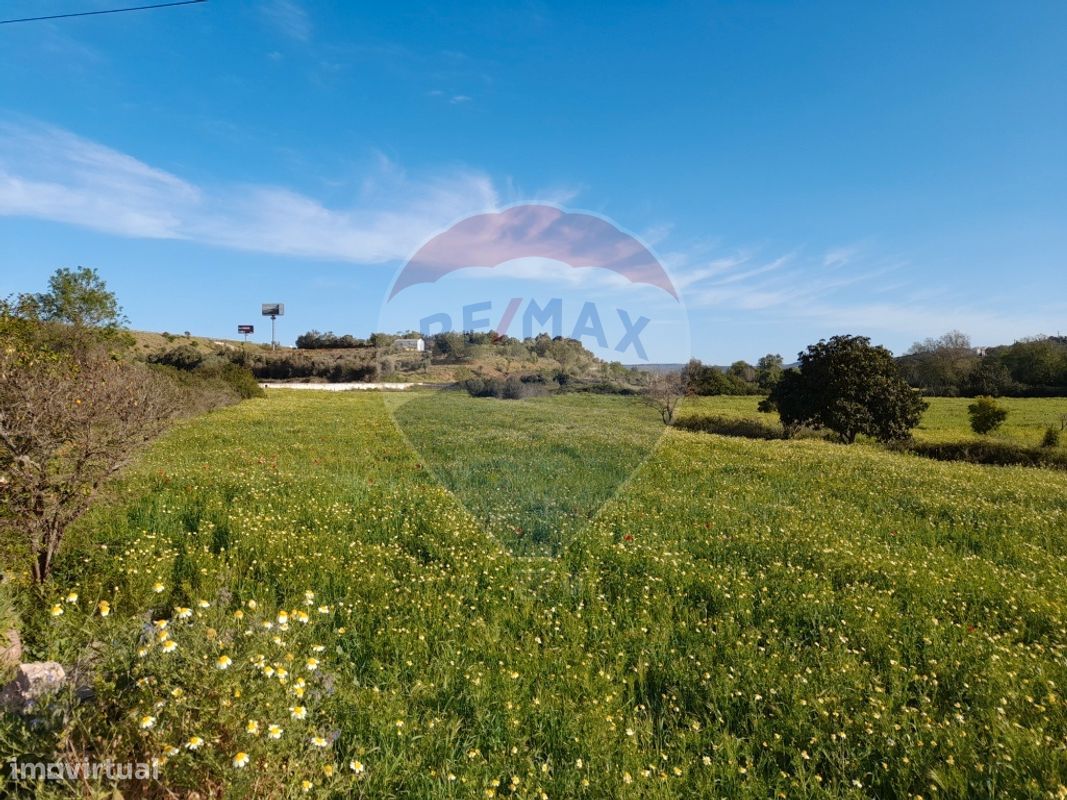Terreno  para venda - Grande imagem: 1/7