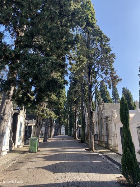 Jazigo Cemitério dos Prazeres