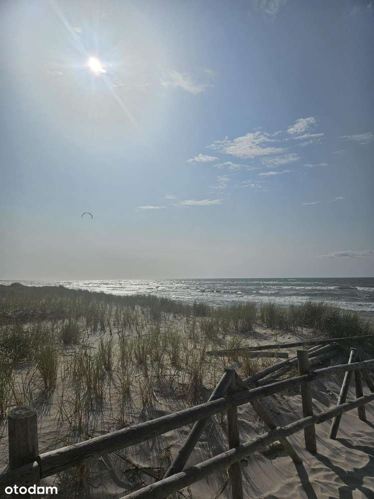 sprzedaz dzialki rolnej - Pełny obrazek: 5/10