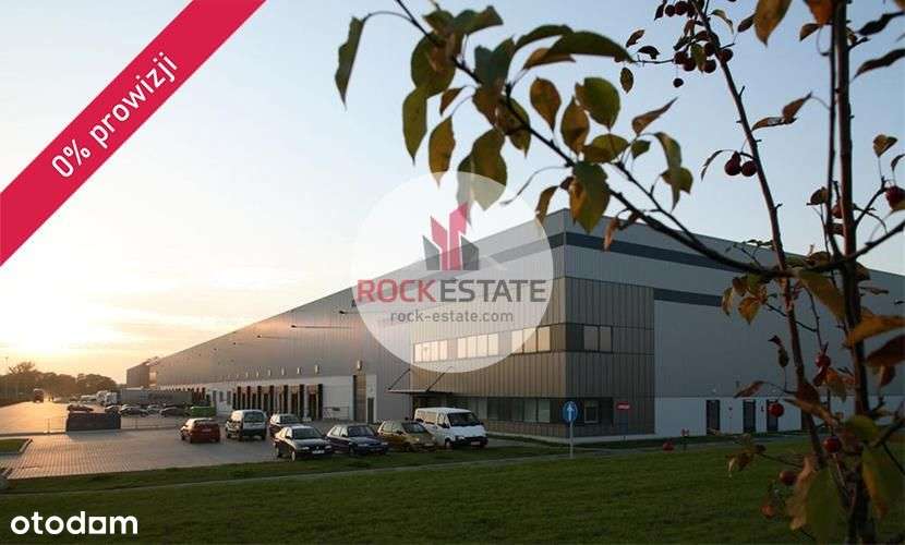 Magazyn na wynajem 4,3 tyś m2 od kwietnia 2026 - 0 - Pełny obrazek: 4/6