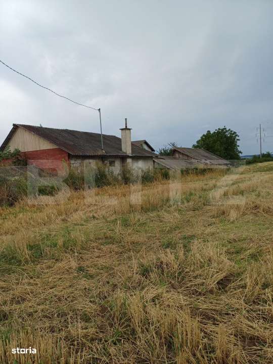 Teren intravilan 6000 mp cu 2 fronturi, parcelabil - Imagine principală: 5/8