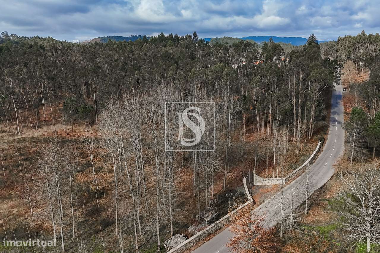 Terreno Rústico  Venda em Associação de freguesias do Vale do Neiva,Po-19