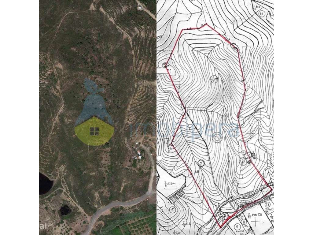 Terreno com Ruina - S.B. Messines - Grande imagem: 4/4