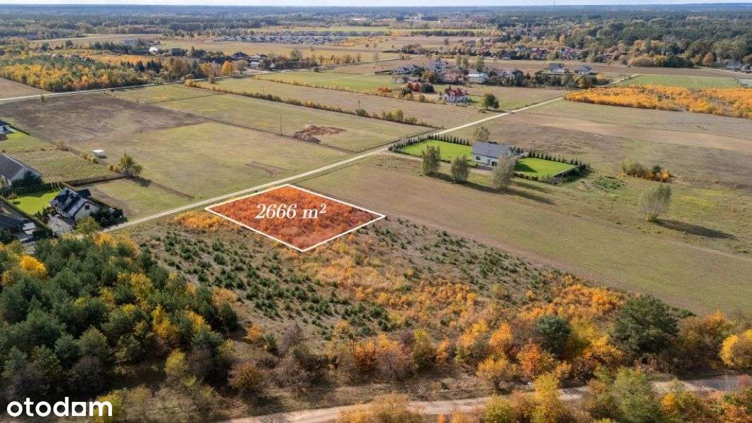 gm. WIELISZEW / m. SKRZESZEW / działka 2666 m2 / MPZP: Usługi i Dom - Pełny obrazek: 5/14