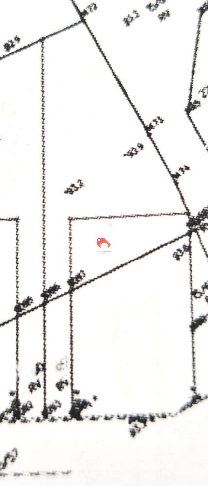 Działka Przy Lesie - Nekla  1889m2 Budowlana - Pełny obrazek: 4/7