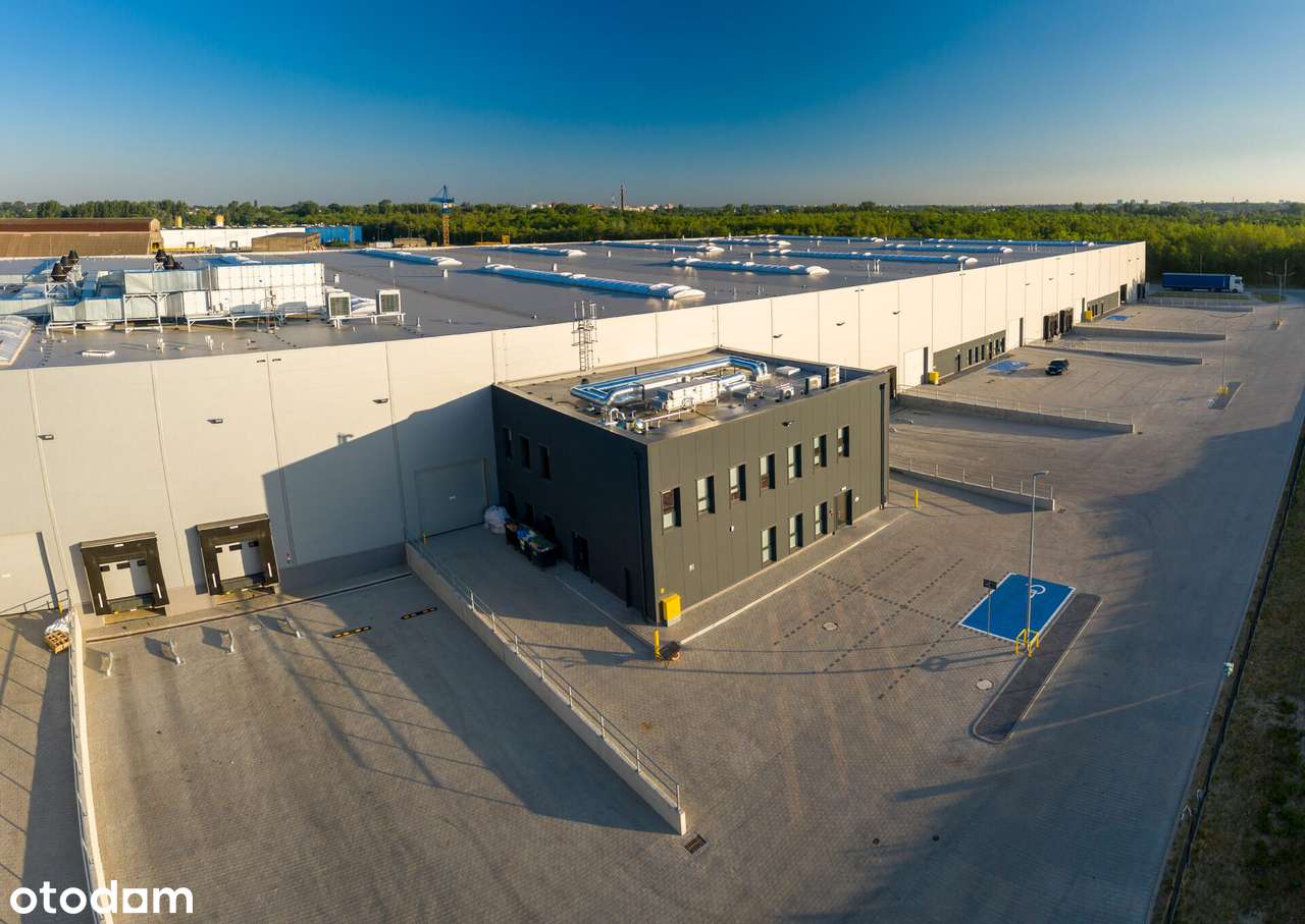 Hala magazynowa 4374 mkw | biura 183 mkw | doki i bramy - Pełny obrazek: 2/7